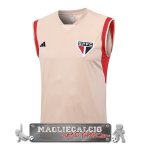 Sao Paulo Senza Maniche Formazione Maglia Calcio 2023-24 Giallo Arancione Sao Paulo Senza Maniche Formazione Maglia Calcio 2023-24 Giallo Arancione