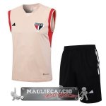 Sao Paulo Senza Maniche Formazione Set Completo Maglia Calcio 2023-24 Giallo Arancione Sao Paulo Senza Maniche Formazione Set Completo Maglia Calcio 2023-24 Giallo Arancione